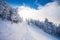 Ski forest path with pine trees covered in snow