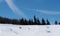 Ski Hill With Trees And Blue Sky