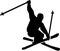 Ski Jumping Freestyle