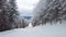 Ski POV. Alpine skiing - view point of skier going dowhill on trail with snow covered trees and ski mountain background