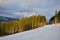 Ski resort in beautiful sunset light. View from the top: ski tracks, pine tree forest and mountains in the background