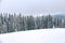 Ski resort, skiing season, snowboarding, snowy mountains, snowy forests, mountain vacation