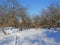 Ski road in an apple orchard