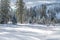 Ski runner on the route of a race running through a snowy forest