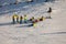 Ski school for children near Zermatt, Switzerland.