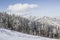 Ski slope surrounded by snow-covered fir trees