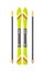 Ski and Sticks Isolated. Skiing Gear Set. Vector