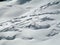 Ski tourers working in a crevasse field