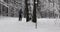 Ski touring in deep fresh snow - young couple skiing in snowy winter forest