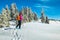 Ski touring in the deep snow, Carpathians, Transylvania, Romania