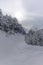 Ski touring in the mountains and forest above Alvaneu in the Swiss Alps