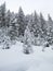 Ski touring in the mountains and forest above Alvaneu in the Swiss Alps