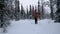 Ski touring - woman with skis in snowy winter forest. Finland