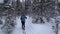 Ski touring - woman with skis in snowy winter forest. Finland