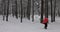 Ski touring - young couple skiing down the hill in snowy winter forest