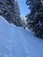 Ski tours in the Glarus region. Pure winter landscape with snowy trees with the ascent trail and blue sky. Winter Sport