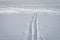 Ski track close up on the snow field. Beautiful winter landscape. The edge of the forest