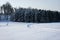 Ski track on the snow field. Beautiful winter landscape. The edge of the forest with rows of trees evergreens covered with snow. T