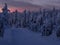 Ski track in the snowy winter forest