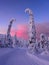 Ski track in the snowy winter forest