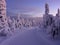 Ski track in the snowy winter forest