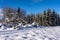 Ski track trail on the snow field. Skiers ride on winter day. Healthy people lifestyle. The edge of evergreens forest with rows of