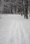 Ski track in winter forest