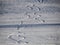 ski tracks dolomites snow panorama landscape