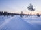 Ski trail middle of swamp after sunset