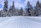 Ski trail in snowy forest