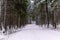 Ski trail in a snowy winter forest