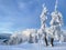 Ski trails lead down the snowy backcountry under a mountain covered in fog.