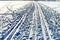 Ski trails in snowy field in winter day