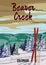Ski Travel resort poster vintage Beaver Creek. Colorado USA winter landscape travel card