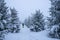 Skialpinist riding down the mountain in poor visibility in the fog in winter