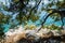 Skiatos Island Landscape Secret Escape Under The Pines