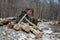 Skidder pulling the logs on a wood storage in the forest. Bieszczady Mountains, Carpathians, Poland