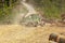 Skidder truck doing work in mountain forest, clearing tree logs