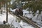 Skidding timber / Tractor is skidding cut trees out of the forest