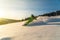 Skier carving in powder snow conditions and yellow sunset ambience