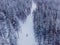 Skier cross-country skiing in snow forest. Winter competition concept. Aerial top view