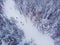 Skier cross-country skiing in snow forest. Winter competition concept. Aerial top view