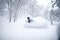 Skier going down a hill creating a snow spray, with snow covered trees around