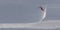 Skier jumping off steep slope