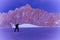 Skier man silhouette climbing mountain