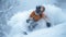 Skier in mask on mountain slope on snowy background, bearded man in orange jacket skiing downhill spraying snow in winter. Concept