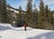 Skier on a piste in alpine ski resort