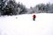 Skier in a red jacket with a running dog in the background of the forest