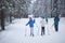 Skier on the ski track. Cross country ski