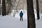 Skier skiing in the afternoon in the forest